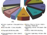 Hàng loạt ngành, nghề 'khát' nhân lực