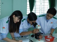 NGÀNH DƯỢC: NHỮNG ĐIỀU KỲ DIỆU