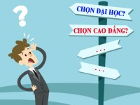 Vì sao phải là đại học?