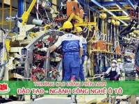 Cơ hội việc làm ngành Công nghệ ô tô và mức lương của kỹ sư ô tô là bao nhiêu?