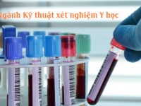 Tuyển sinh ngành Kỹ thuật xét nghiệm y học năm 2019 tại Trường Cao đẳng Miền Nam TP Hồ Chí Minh