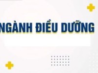Ngành Điều dưỡng: Mục tiêu, chương trình đào tạo, kế hoạch đào tạo và vị trí việc làm sau tốt nghiệp
