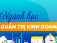 Ngành Quản trị kinh doanh: Mục tiêu, chương trình đào tạo, kế hoạch đào tạo và vị trí việc làm sau tốt nghiệp